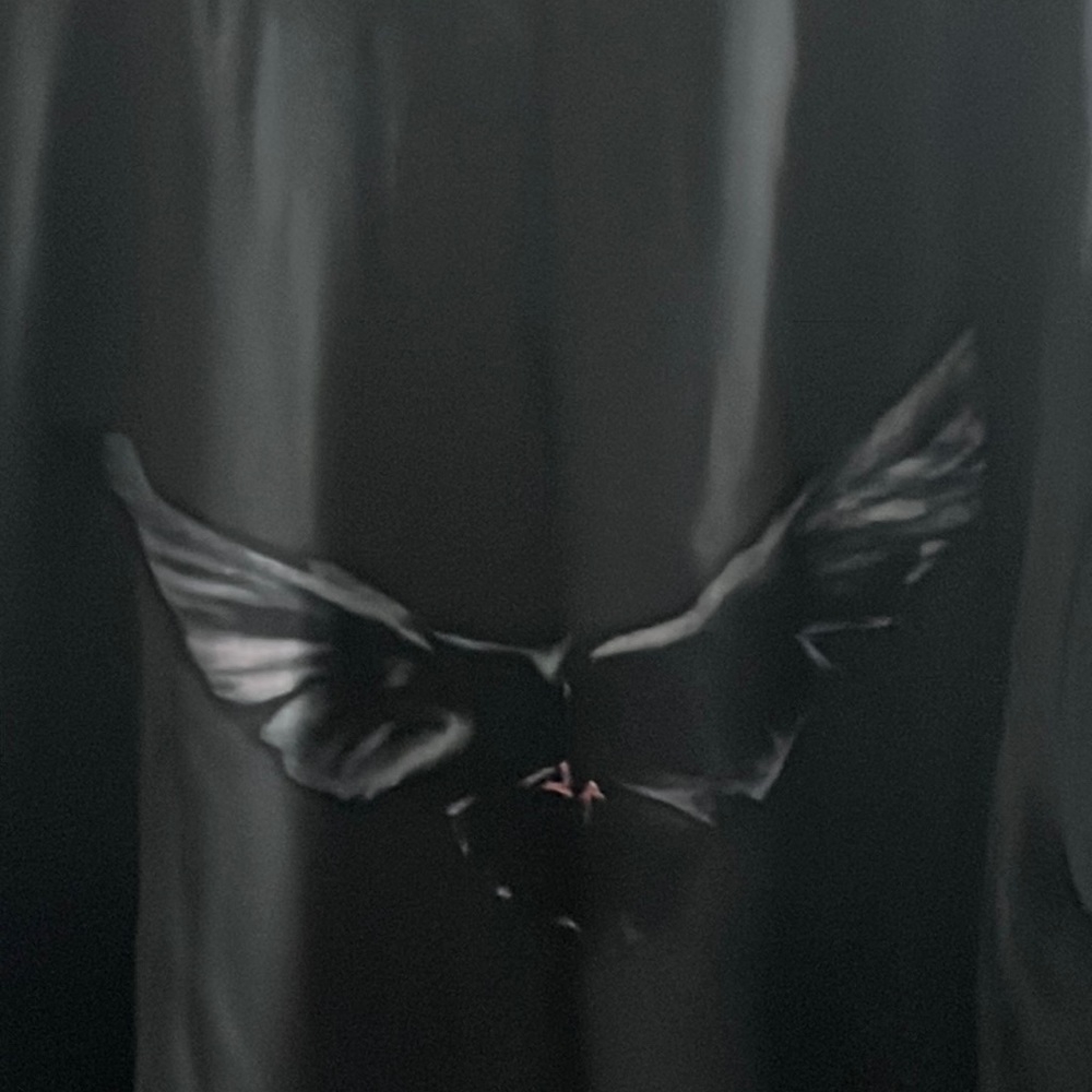 Kayne X Balenciaga GAP size small
